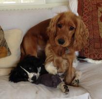 New Blog Posts for Week Starting 23rd March