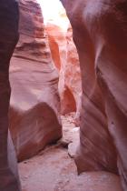 Should we make the 10 hour+ round trip to see the Grand Canyon?