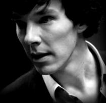 Have you been Cumberbatched? Come join the BCAS - accept no Imitations!
