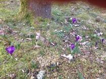 …if winter comes, can Spring be far behind? 2014 beckons us...