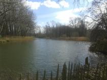 Where the Wild Things Are