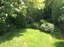What to plant in an exposed boarder.