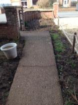 How to salvage this soil into something beautiful? (pics)