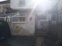 Help me do something, anything with our garden please