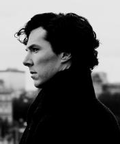 Have you been Cumberbatched? Come join the BCAS - accept no Imitations!
