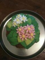 Would anyone enjoy a cake picture thread, for boasting?!