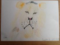 Upload picture of your children's favourite animal (either photo or drawing) for chance to win a signed, limited edition Eric Carle print
