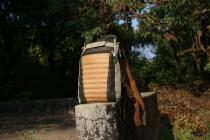 Help me choose a rucksack bag. Vote on one of the photos.