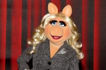 Webchat with the Muppets: Miss Piggy and Kermit answer your questions (watch the video)