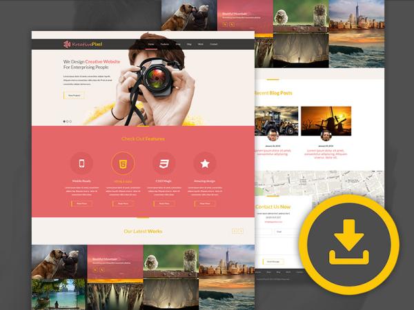 In need of an affordable web designer.