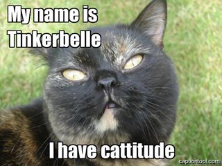 What is the absolute ultimate thing you get judgy about?