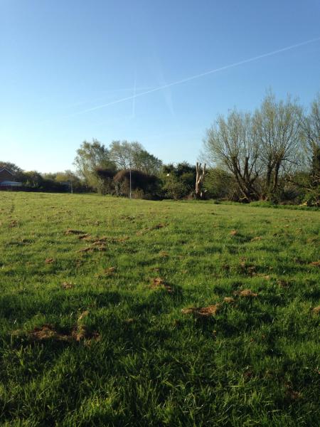 If you run you are a runner! - runners thread 3