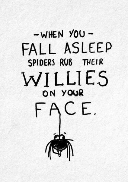 To fecking hate spiders?!?