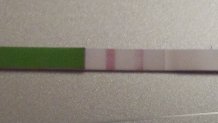 Positive OPK?