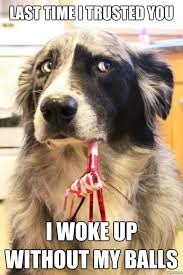 Not to want to castrate my new dog?