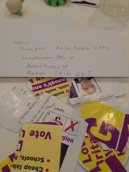 To set light to this UKIP election leaflet?