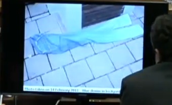 Oscar Pistorius Trial Part 5