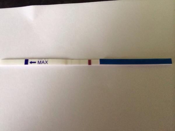 Internet Cheapies Rage