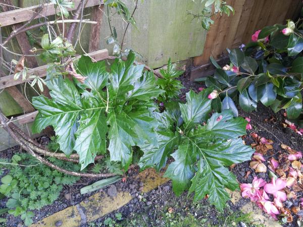 What is this and how do we get rid of it?