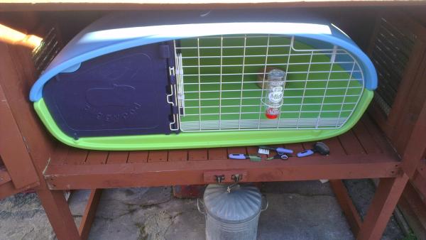 Eglu or similar for piggies