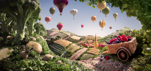 Woodland Creature Homework Help