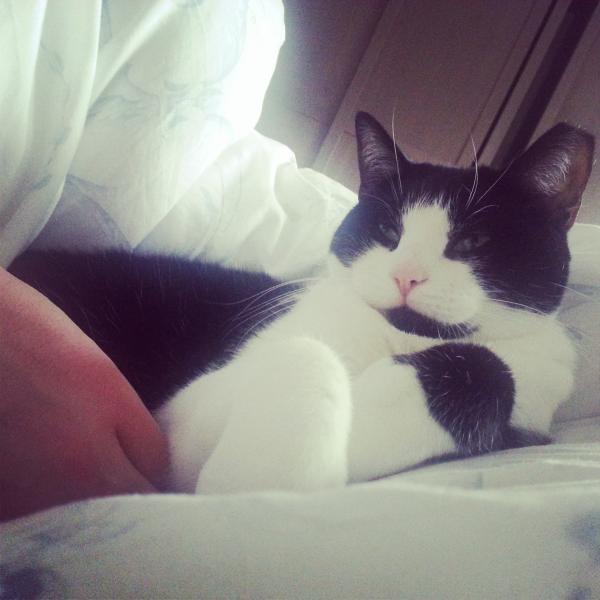 I might love my cat too much.