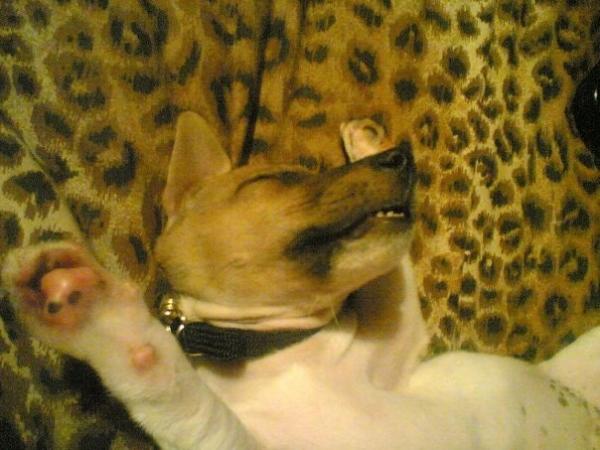 To ask for all your help?