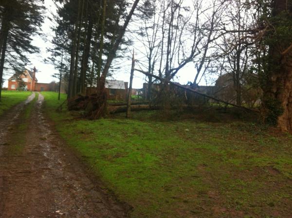 Tell me about the most jaw dropping OMG moment you've ever witnessed...