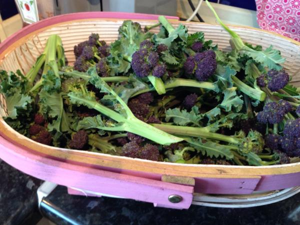 To think that the vast majority of people can't afford or won't buy 7 portions of fruit and veg a day
