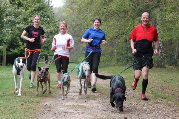 If you run you are a runner! - runners thread 3