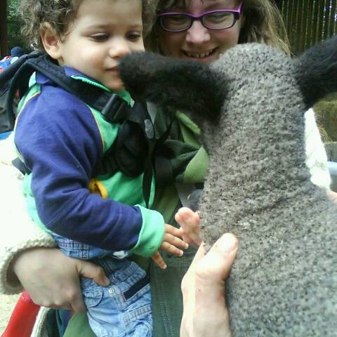 November 2012 - Any tips for surviving the 18-month sleep regression?