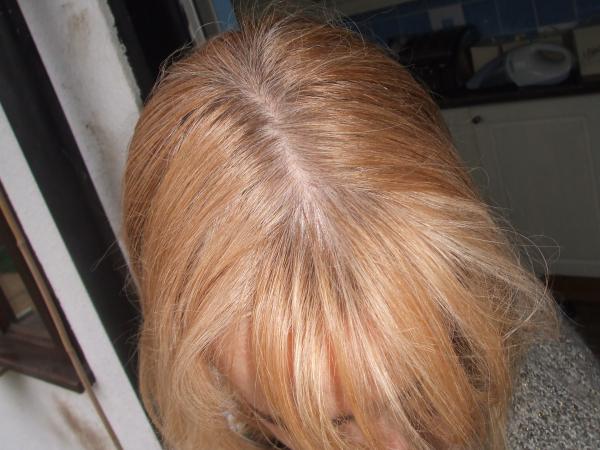 Platinum blonde shall I?