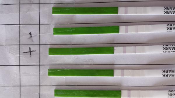 What Ovulation tests should I buy?