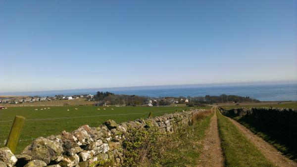 If you run you are a runner! - runners thread 3