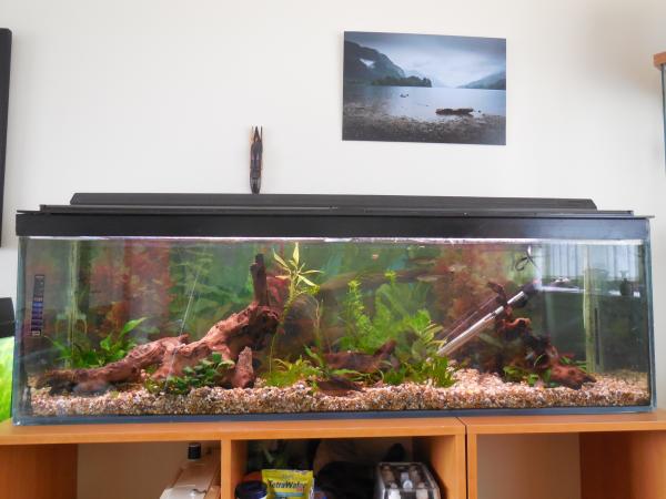 Week 10 - Low Carb Bootcamp - the last week!