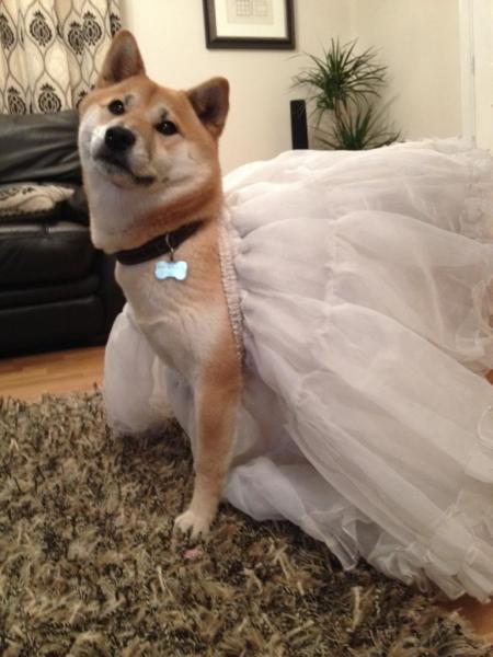 Week 10 - Low Carb Bootcamp - the last week!