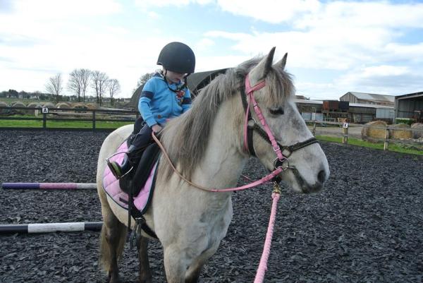 my 3yr old had his first trot, im so proud