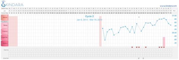 Help with understanding my BBT chart?