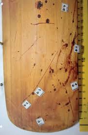 Oscar Pistorius Trial Part 5