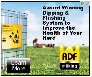 Cold Comfort at Bridge Farm: Lonely Cow, Dead Cow, Greedy Cows, and Poor Blind Besotted Cows... Follow the growing herd and discuss Ambridge here!