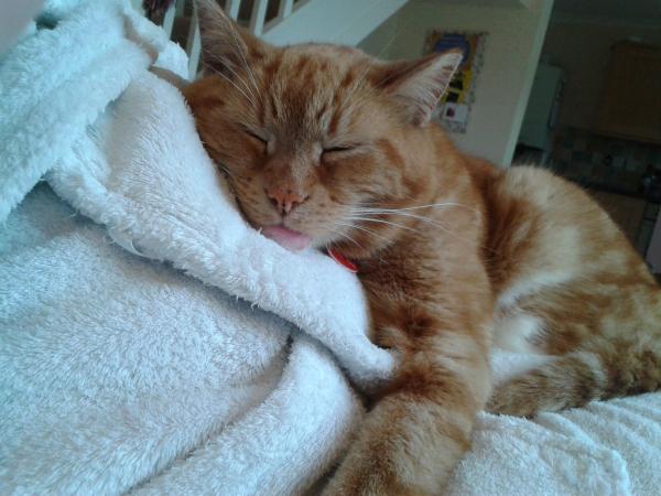 September 2014 - Holding hands and 20 week scans...