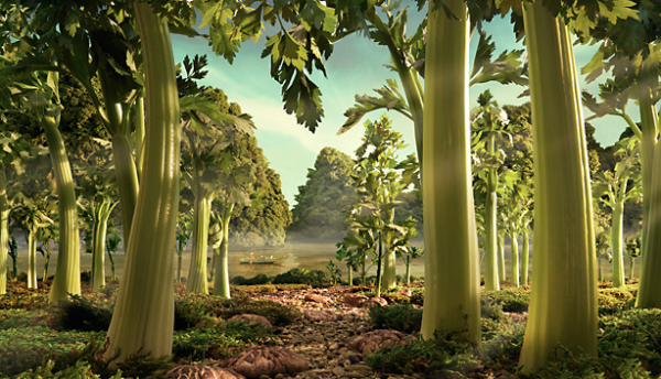 Woodland Creature Homework Help