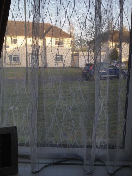 to think there is nothing wrong with net curtains?