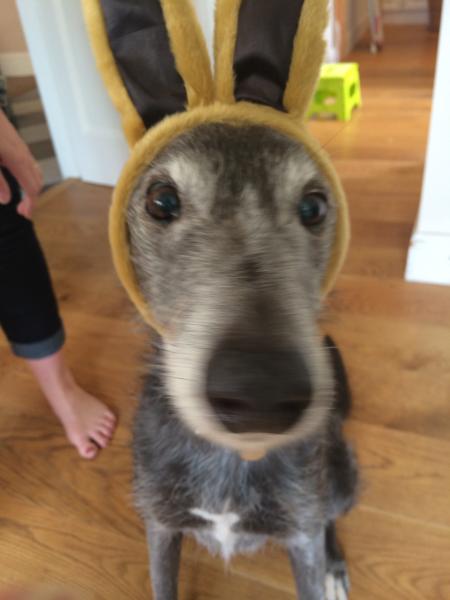 Week 10 - Low Carb Bootcamp - the last week!