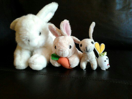 small white bunny