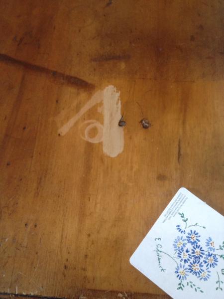 Help - Destructonaut strikes again!