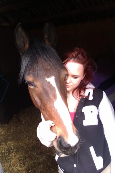 pretty new horse