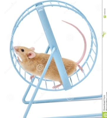 The 5:2 Thread number 43: Had too much Easter chocolate? Is the sugar monster chasing you? Come and join us in kicking the carb-cravings and getting back to healthy eating habits with intermittent fas