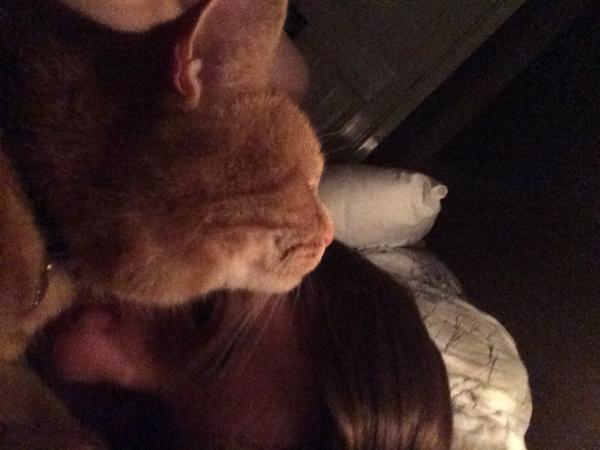 Cat interrupting us...