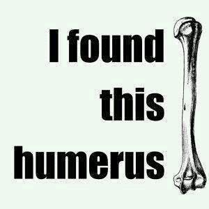 Follow on from best joke - best science/maths jokes?